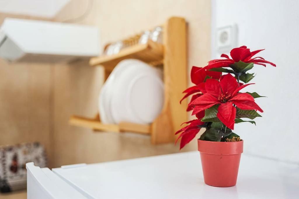 Apartamento Centro Vejer Vejer de la Frontera Buitenkant foto